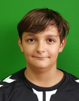 Dominik PRZYBYŁOWICZ