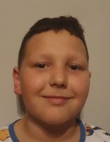 Dominik KRECHOWIAK