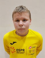 Krzysztof NIEWIADOMSKI