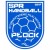 Herb SPR Handball Płock