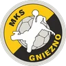 Herb Enea MKS Gniezno 