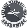 Herb Zagłębie Handball Team Sosnowiec