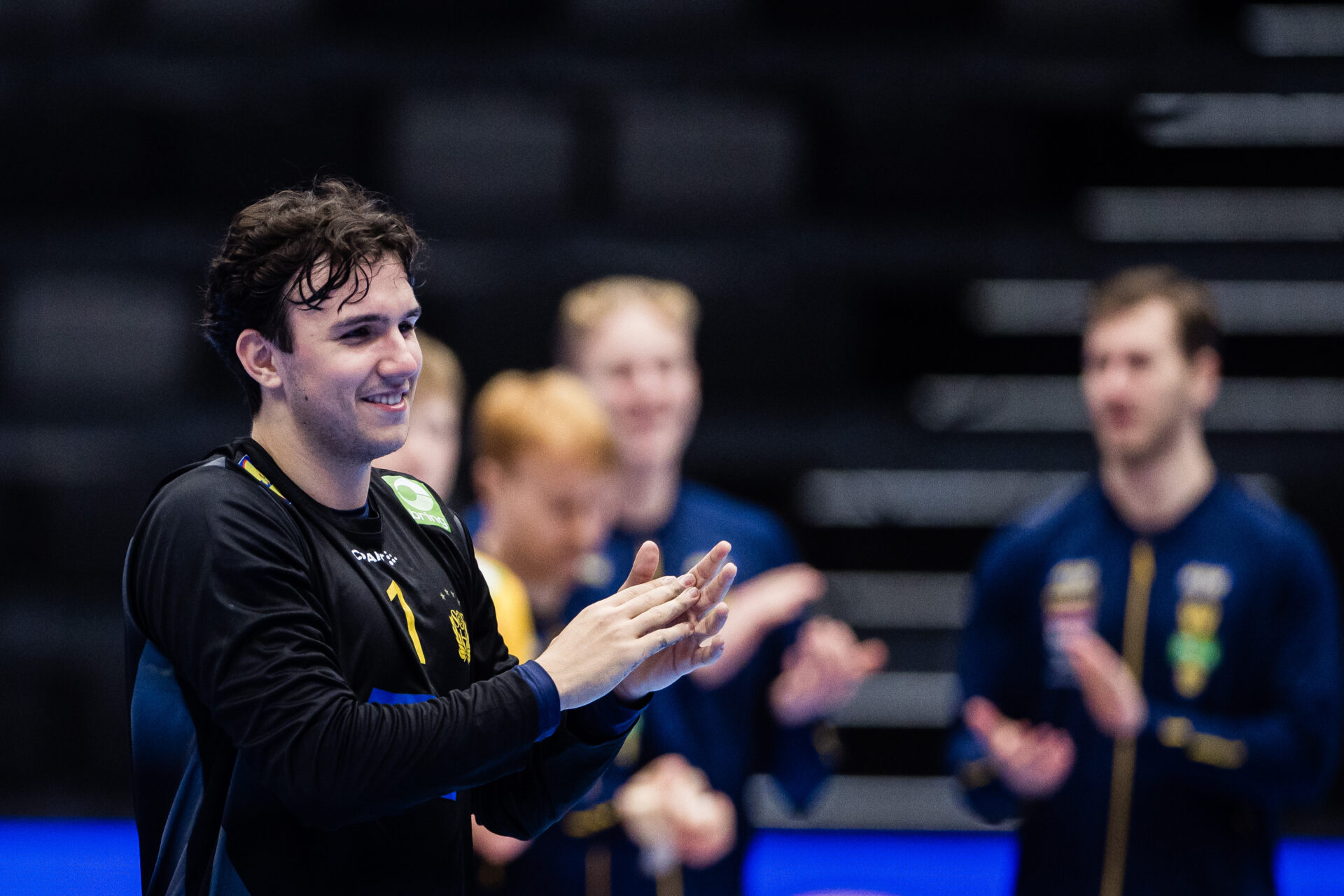 Szwecja zagra dwukrotnie z Islandią – debiut Marko Rogonovicia w bramce