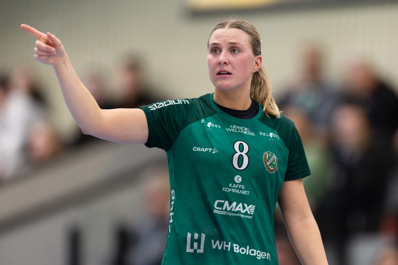 Önnereds HK rozgromił Skövde w pierwszym meczu ćwierćfinału play-off