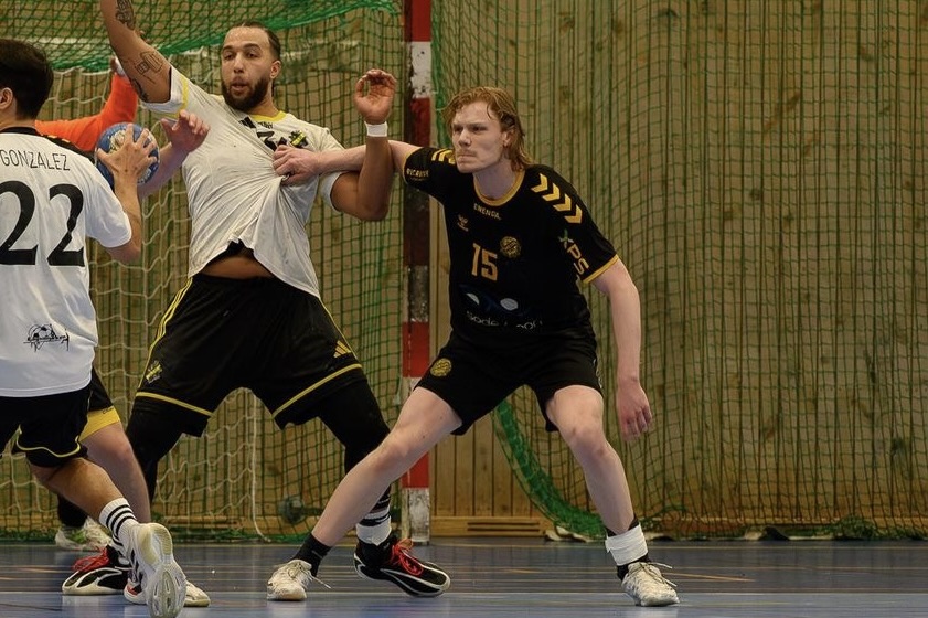 Division 2 Wschód: IK Bolton i Skogås HK dominują w Drużynie Gwiazd sezonu