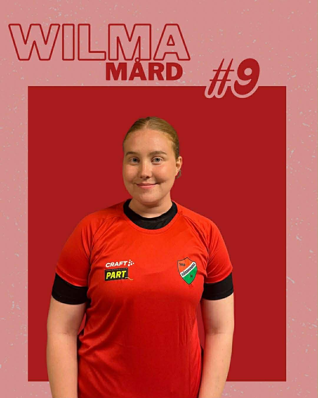 All Star Team szwedzkiej Dywizji 3: Fjärdhundra i VästeråsIrsta zdominowały plebiscyt