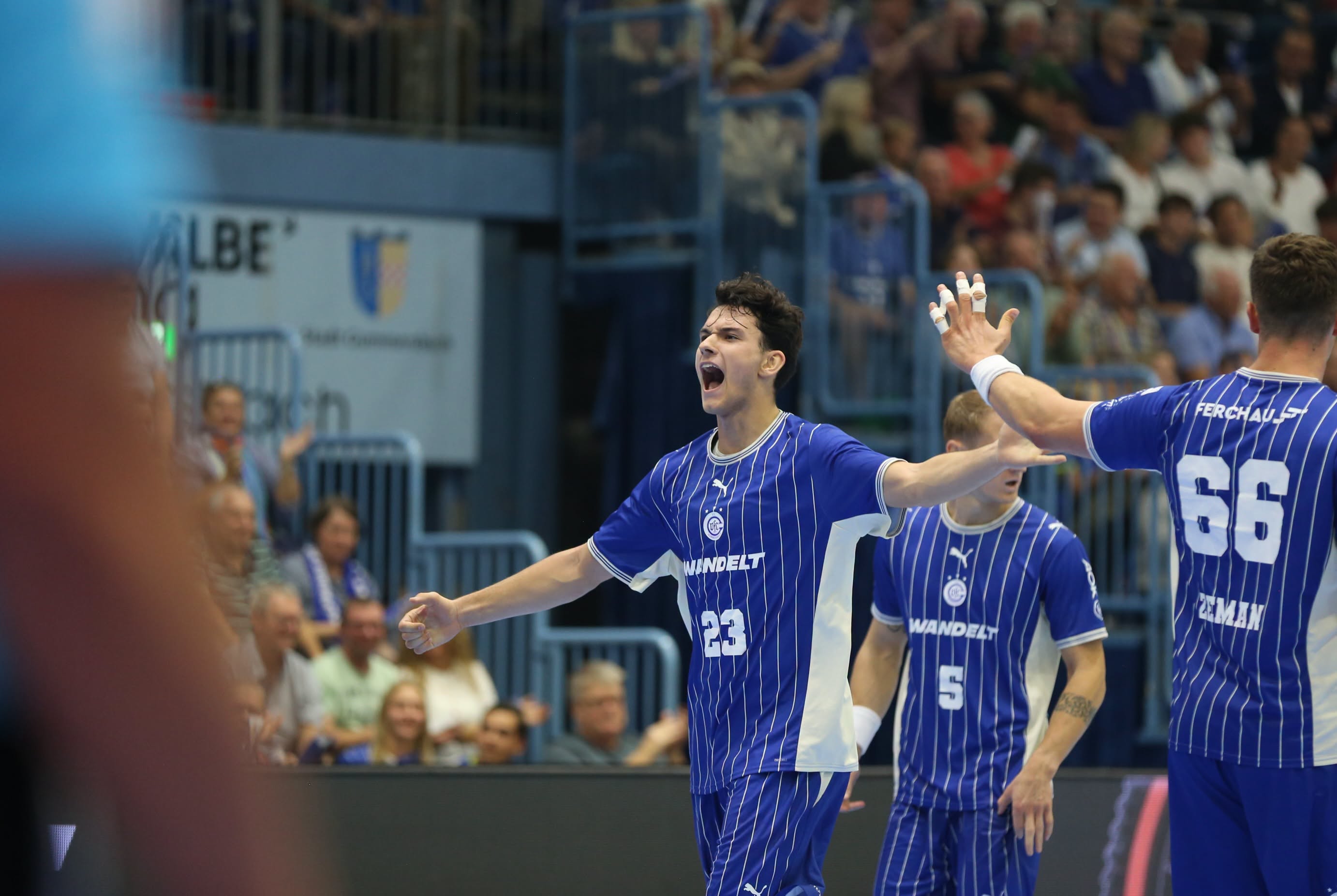 Roganović zdobył 16 goli, a faworyci wygrywali jedną bramką